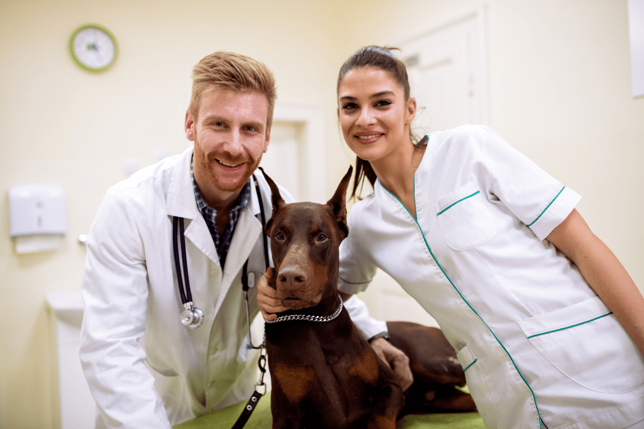 Clinicas y socios con un perro