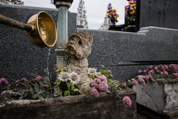 Cementerio de mascotas en Mérida