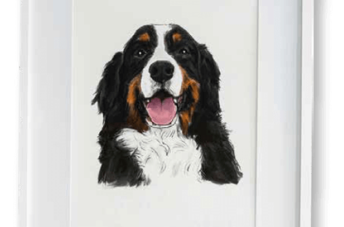 cementerio de mascotas en Mérida