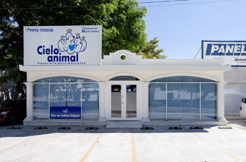 crematorio de mascotas