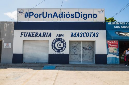 funeraria para perros