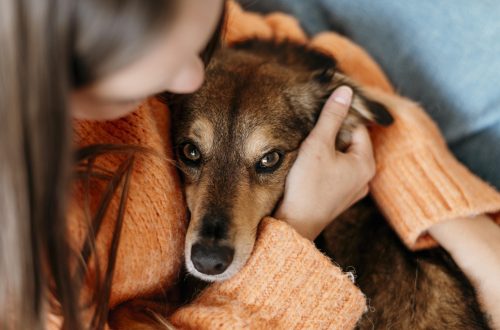 mujer-acariciando-adorable-perro