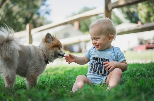 Niños y pérdida de mascota